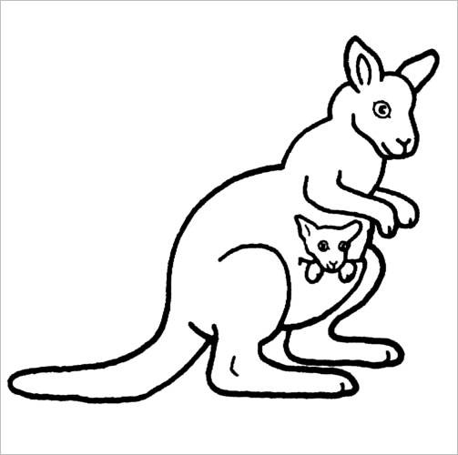 16 Kangaroo Templates Crafts Colouring Pages Free