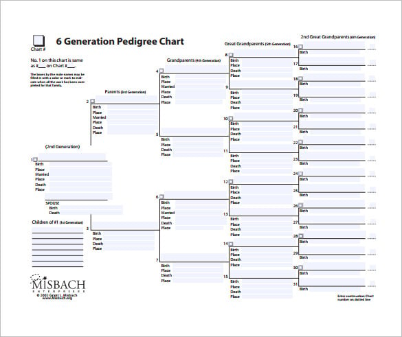 generation pedigree family tree chart free pdf format