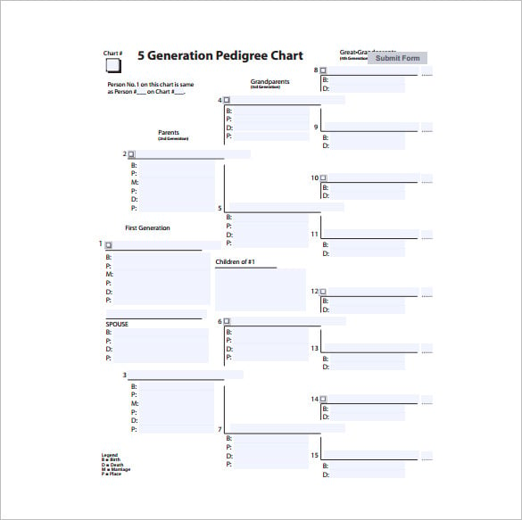 five generation family tree pedigree chart pdf format