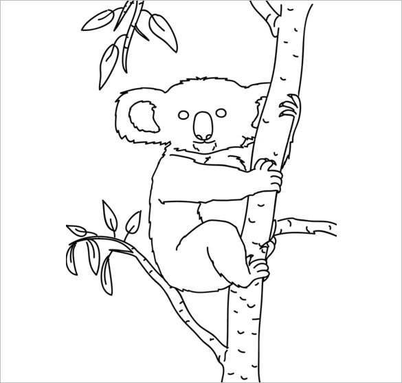12+ Koala Templates, Crafts &amp; Colouring Pages
