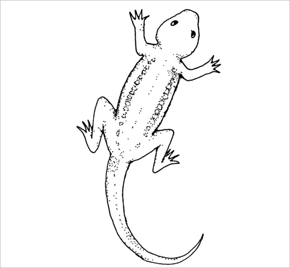 20+ Lizard Templates, Crafts & Colouring Pages