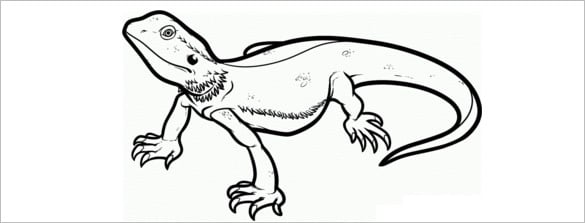 thick lined lizard template
