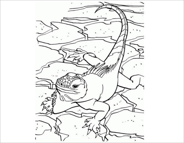 20+ Lizard Templates, Crafts &amp; Colouring Pages | Free &amp; Premium Templates