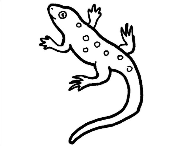 lizard outline