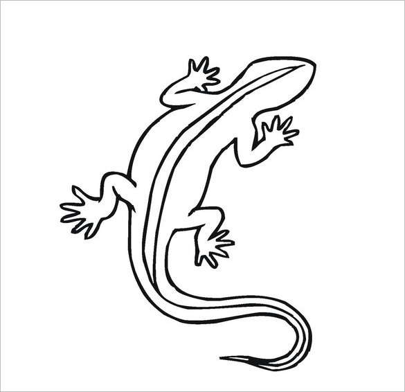 20+ Lizard Templates, Crafts &amp; Colouring Pages