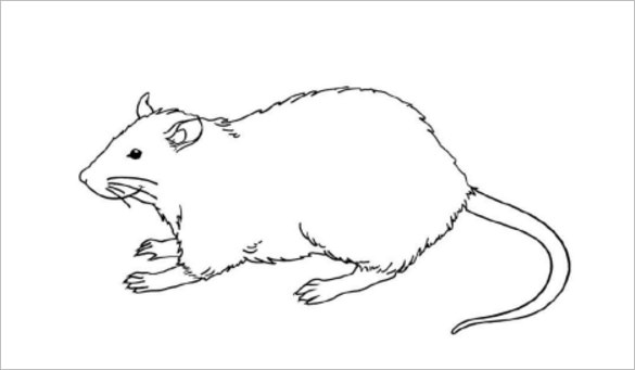 14+ Mouse Templates, Crafts &amp; Colouring Pages - PDF, JPG