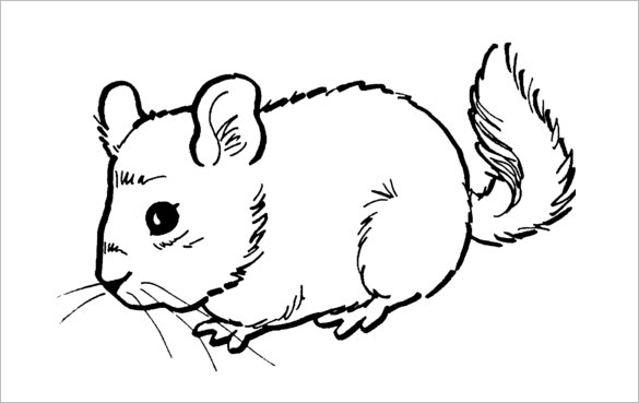 14+ Mouse Templates, Crafts &amp; Colouring Pages - PDF, JPG