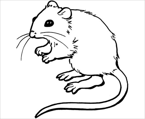 14+ Mouse Templates, Crafts & Colouring Pages - PDF, JPG