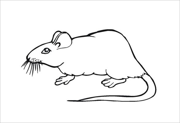 14+ Mouse Templates, Crafts & Colouring Pages - PDF, JPG