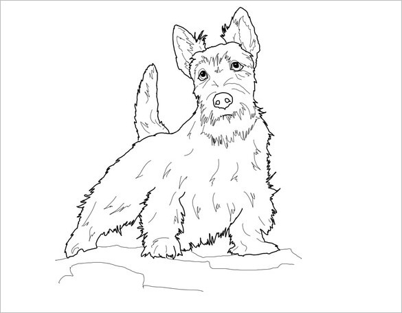 Dog Scottie Template Pattern Printable Outline Templates Drawing ...