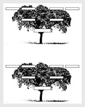 3-Generation-Family-Tree-Sample-PDF-Free
