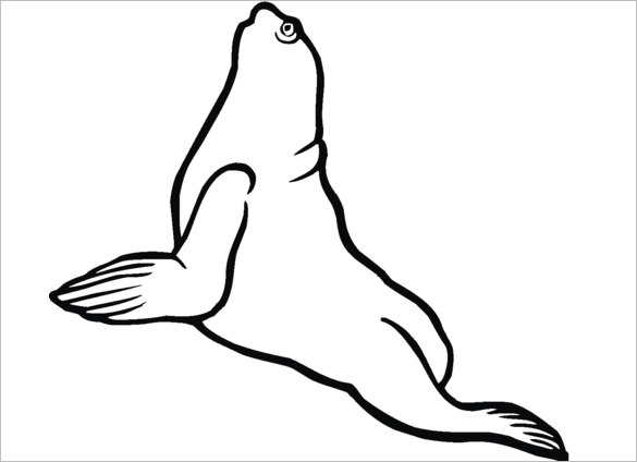seal coloring page template