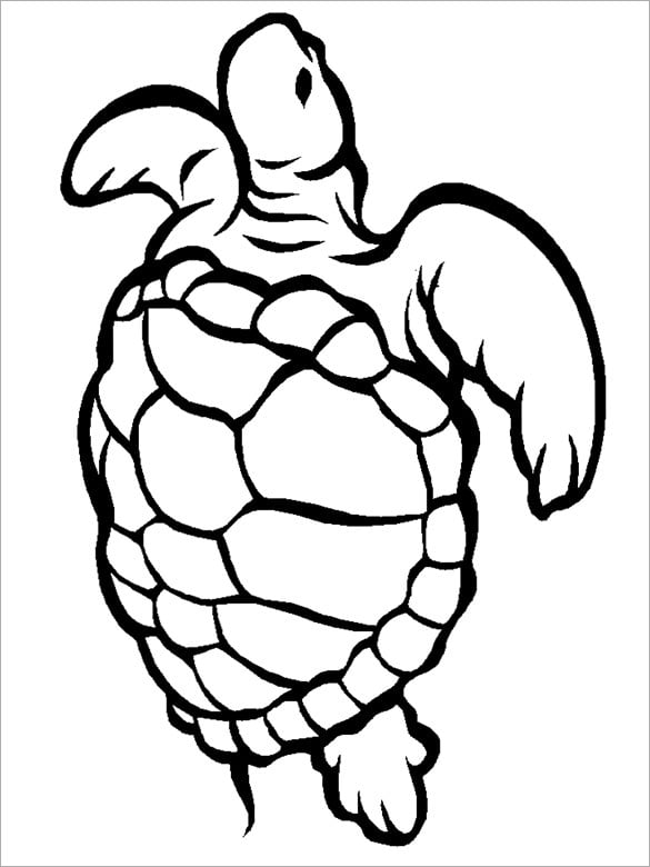 Free Printable Sea Turtle Stencil