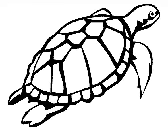 Free Printable Sea Turtle Template