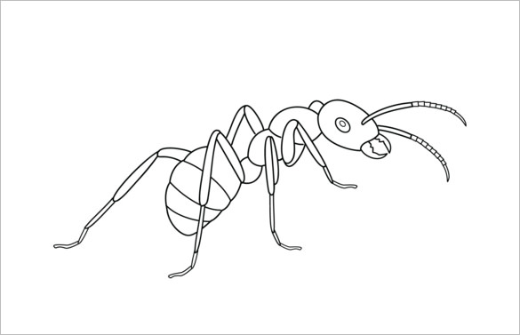 simple ant printable template