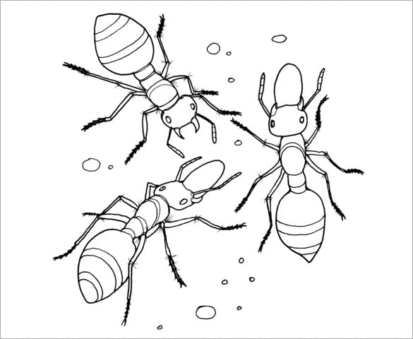 ant design template
