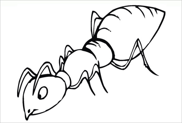 sniffinf ant coloring template