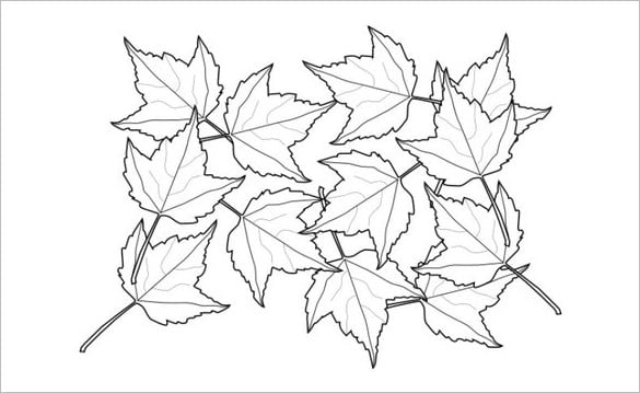 beautiful autumn leafs print page