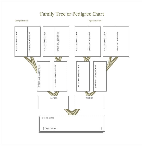 family tree or pedigree chart