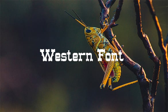 free western font download