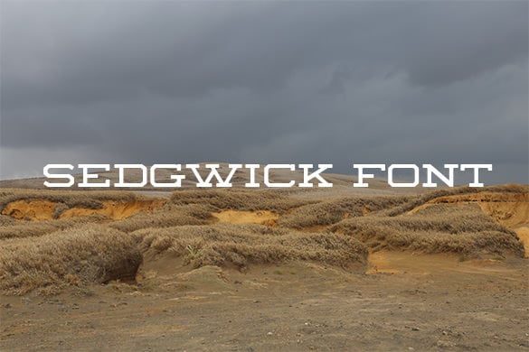 sedgwick western font download