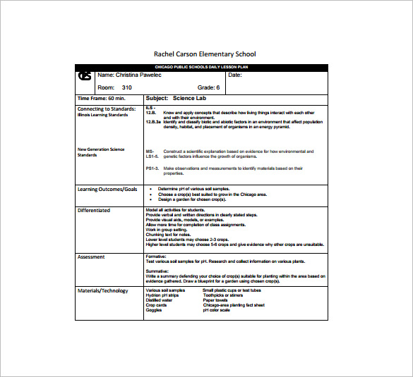 Daily Lesson Plan Template 16 PDF Word Format Download 