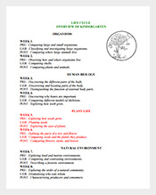 Kindergarten-Plant-Lesson-Plan-Sample-PDF-
