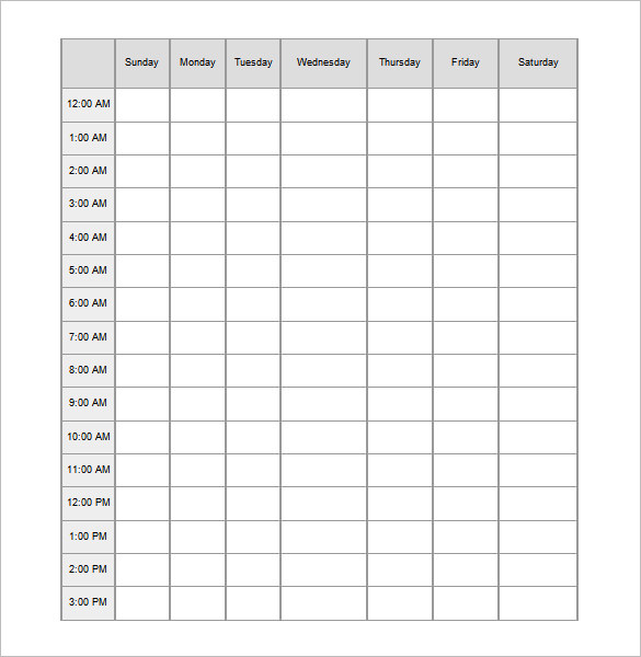 printed 24 hour hourly daily schedule template