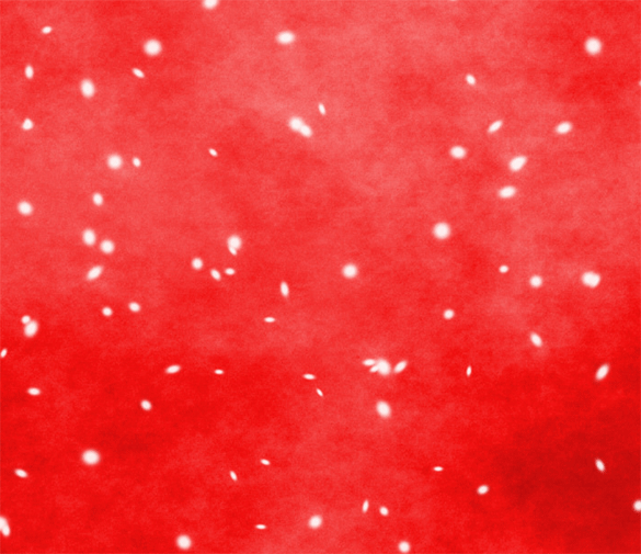 snow red texture for free