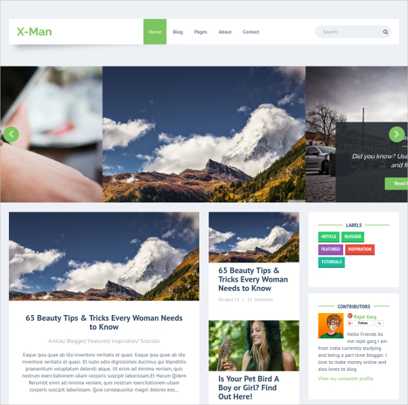 23+ Portfolio Blog Themes And Templates | Free & Premium Templates