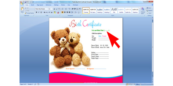 How to make the birth certificate