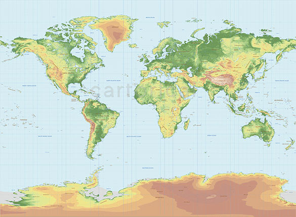 topographic world vector map