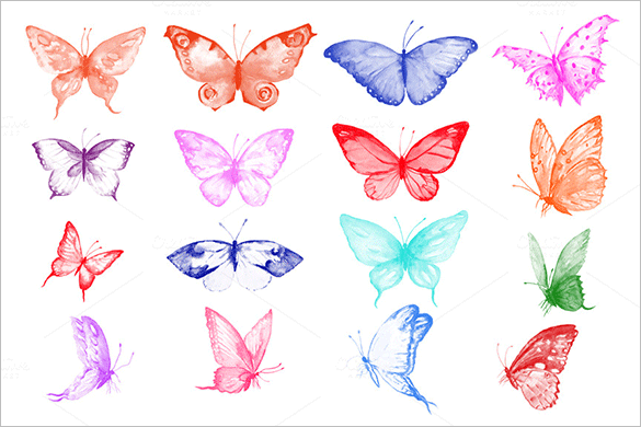 16-high-resolution-butterfly-vectors-download