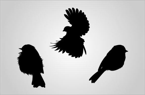 bird silhouettes vectors download