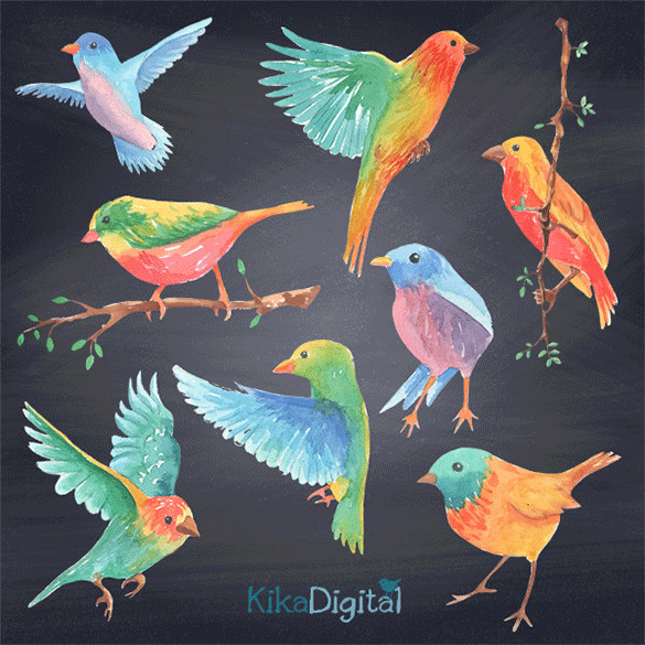 hand painted birds vectors for you