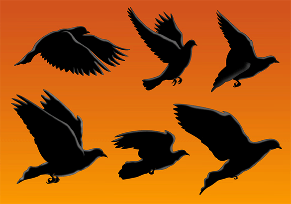 amazing birds vector free download