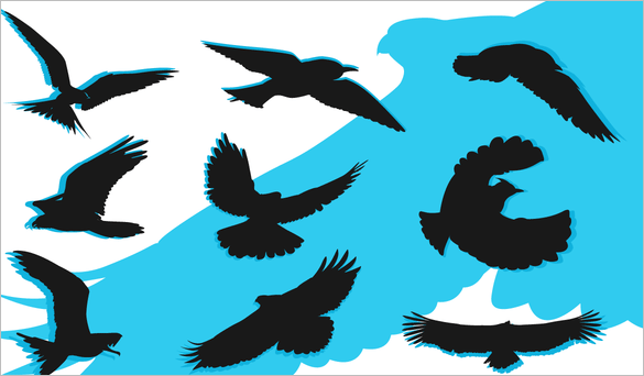 free fabulous birds vector for you