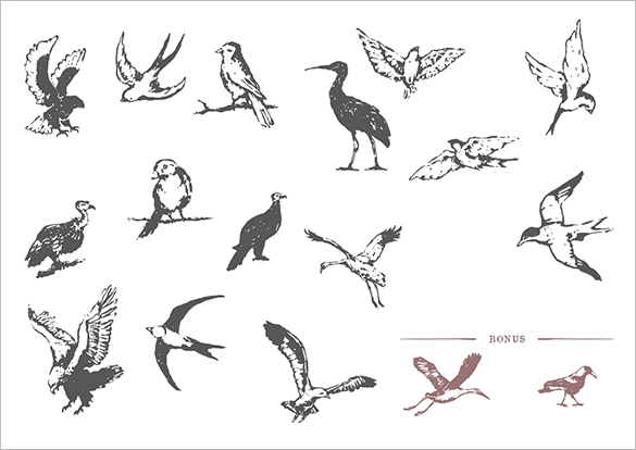 hand drawn vintage birds vector