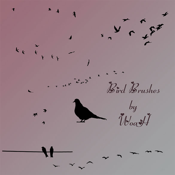 free download bird brushes for photoshop