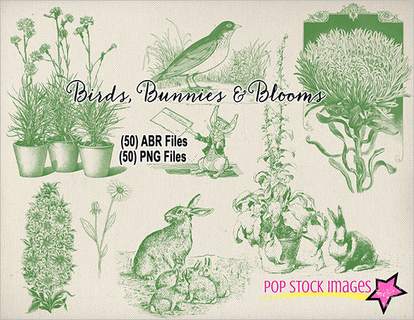 birds bunnies blooms brushes for photoshop
