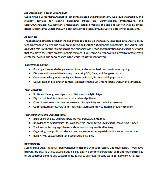 Data Analyst Job Description Template