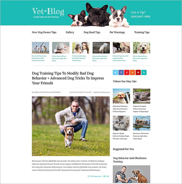 veterinarian blog website template