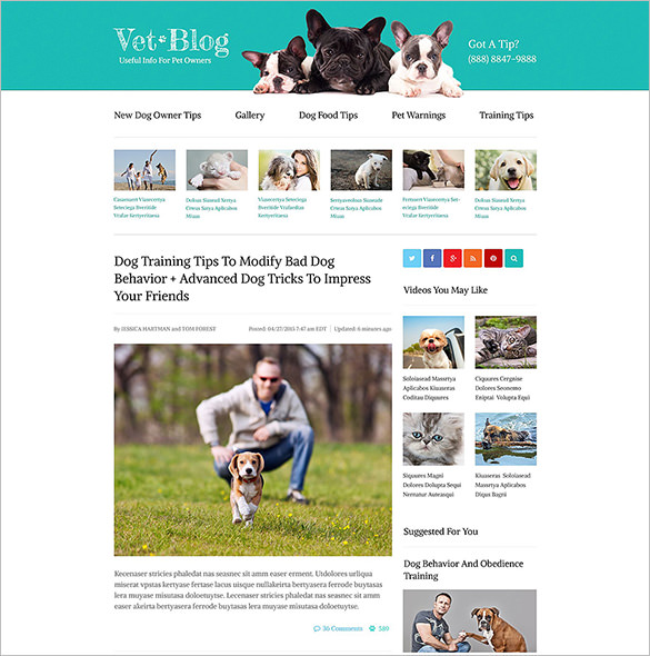 veterinarian blog website template