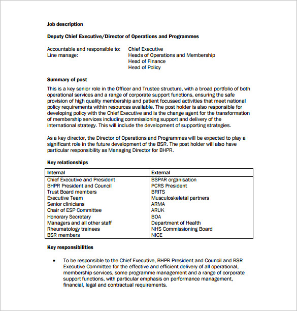 deputy chief executive officer job description free pdf template