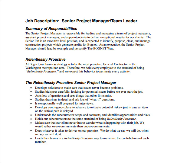 Job Description Project Manager Remar