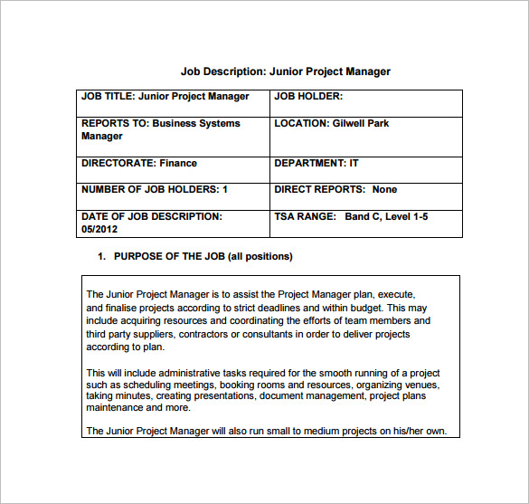 Programs description. Project description. Project description example. Junior Project Manager. Short Project description.