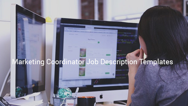 marketing coordinator job description template