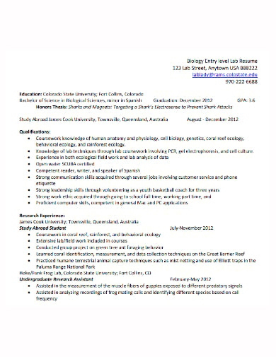 college-student-job-entry-level-resume-template