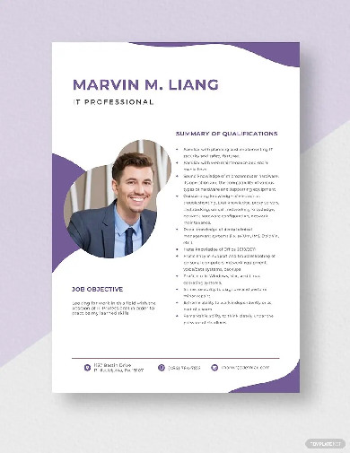 it professional resume template