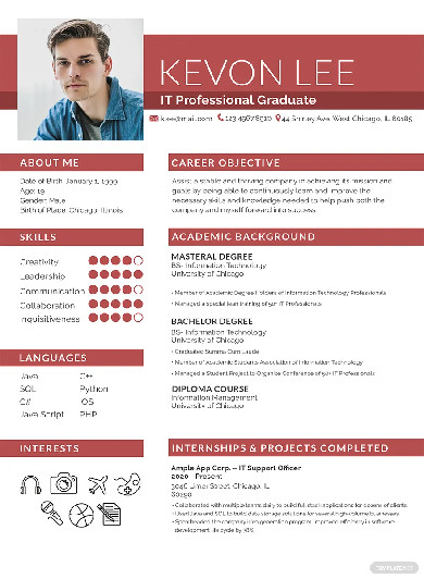 professional resume for freshers template